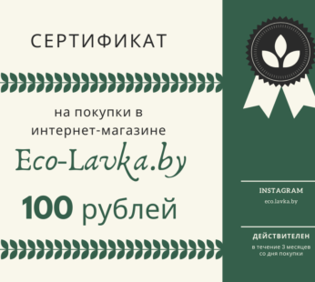 Электронный подарочный сертификат на 100 рублей